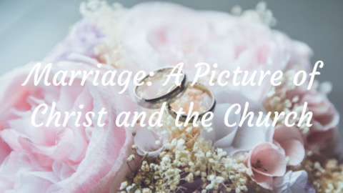 Marriage: A Picture of Christ and the Church - Jennifer Purcell