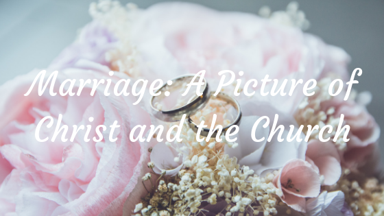 Marriage: A Picture of Christ and the Church devotion blog title