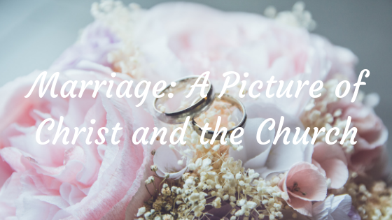 Marriage – Christ Church