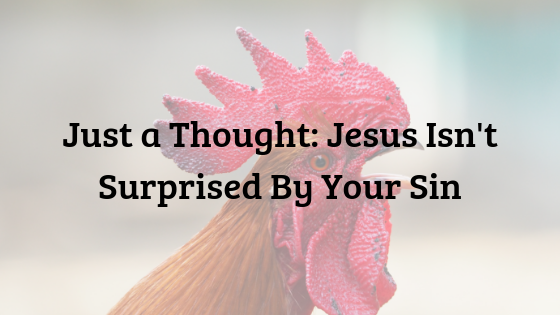 Jesus Isn't Surprised By Your Sin devotion blog title