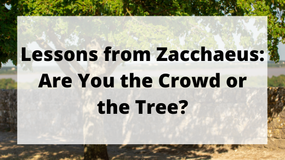 Blog title for Lessons from Zacchaeus: Are You the Crowd or the Tree?