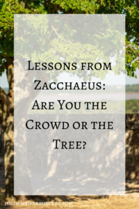 Pin image for Lessons from Zacchaeus: Are You the Crowd or the Tree?