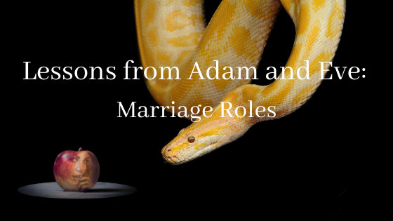 Lessons from Adam and Eve: Marriage Roles blog image with snake and apple