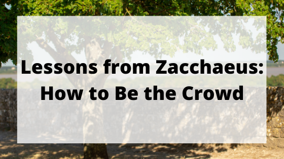 Lessons from Zacchaeus: How to Be the Crowd blog post