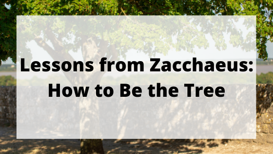 Lessons from Zacchaeus: How to Be the Tree blog title