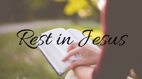 Rest In Jesus: Lessons From Mary And Martha - Jennifer Purcell