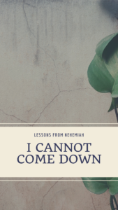 I Cannot Come Down blog title Pinterest image